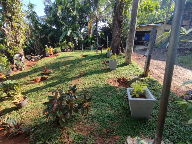 Model_fruit_garden_2022.01.13