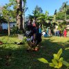 Model_fruit_garden_2022.01.13