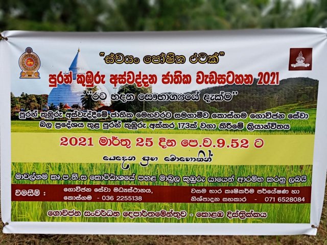 PuranKumburu_Phoca_Img