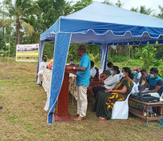 PuranKumburu_Phoca_Img