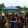 PuranKumburu_Phoca_Img