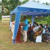 PuranKumburu_Phoca_Img